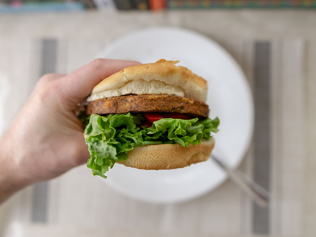 MorningStar Farms Falafel Burger close up